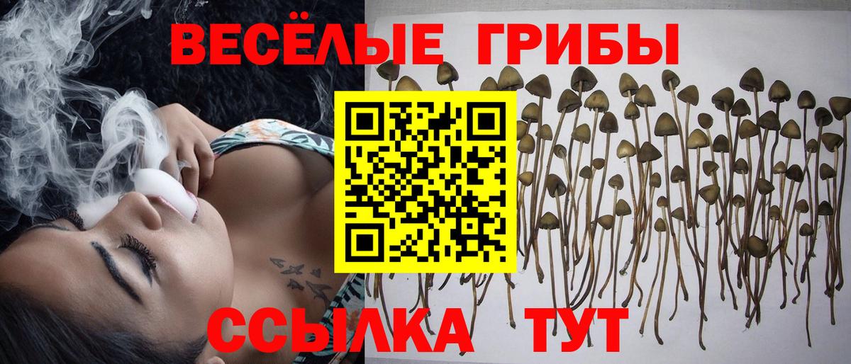 Волгоград  Псилоцибиновые грибы мухоморы  Вход с VPN 