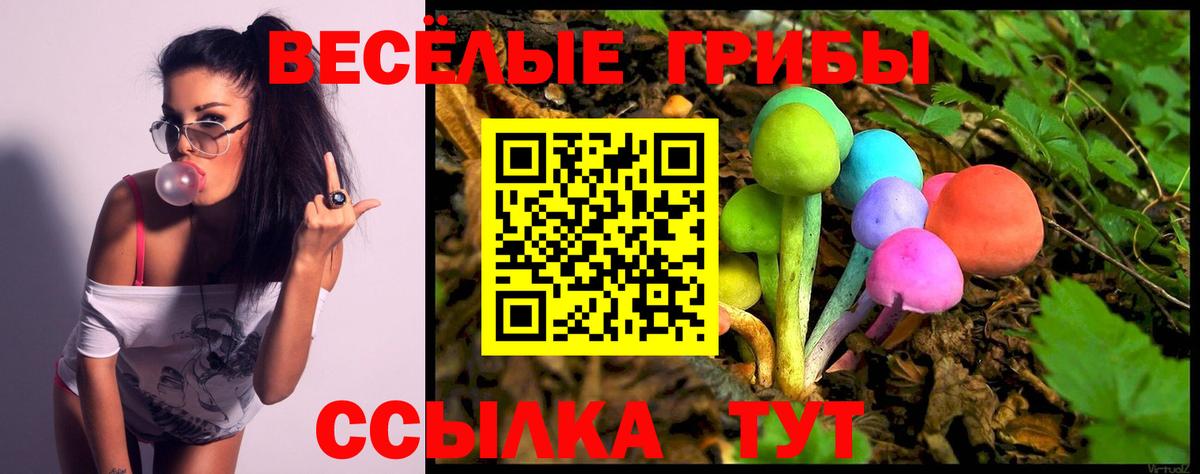 Псилоцибиновые грибы MAGIC MUSHROOMS Волгоград